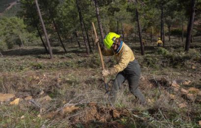 Cuadros Refuerza la Prevención de Incendios con la Limpieza Obligatoria de Fincas  