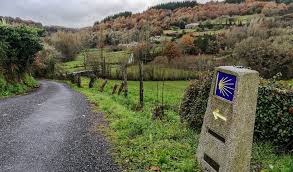 Pequeños Peregrinos: Una Aventura Educativa en el Camino de Santiago