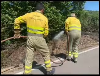 Un leve incendio en Cabanillas finaliza sin daños materiales ni humanos trás el rápido aviso y la actuación de sofoco